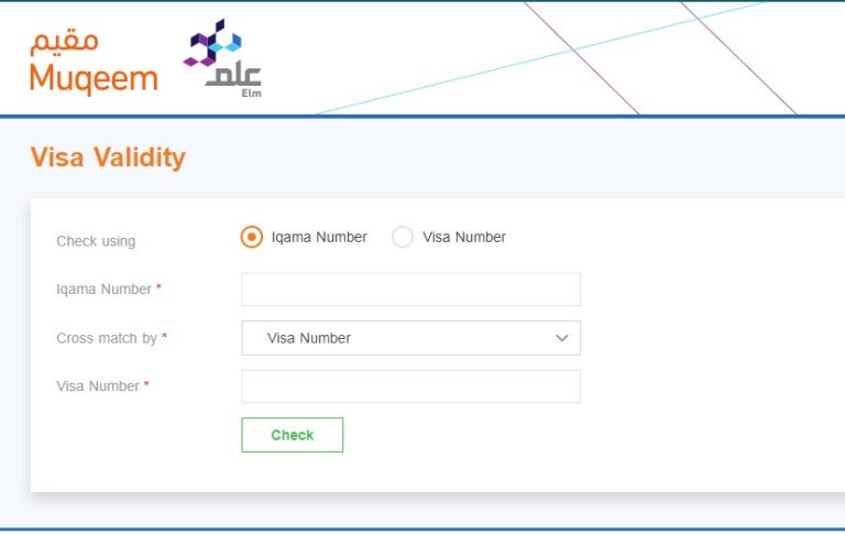 How To Check Saudi Arabia Visa Status Online In 2023?