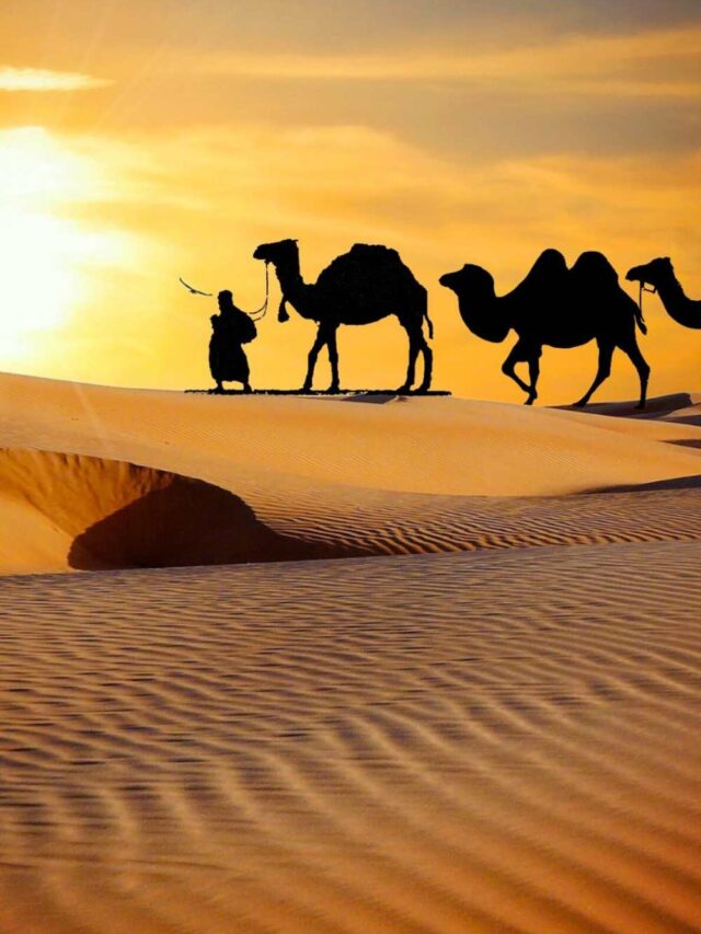 Best Thrilling Desert Adventures to Experience in Saudi Arabia